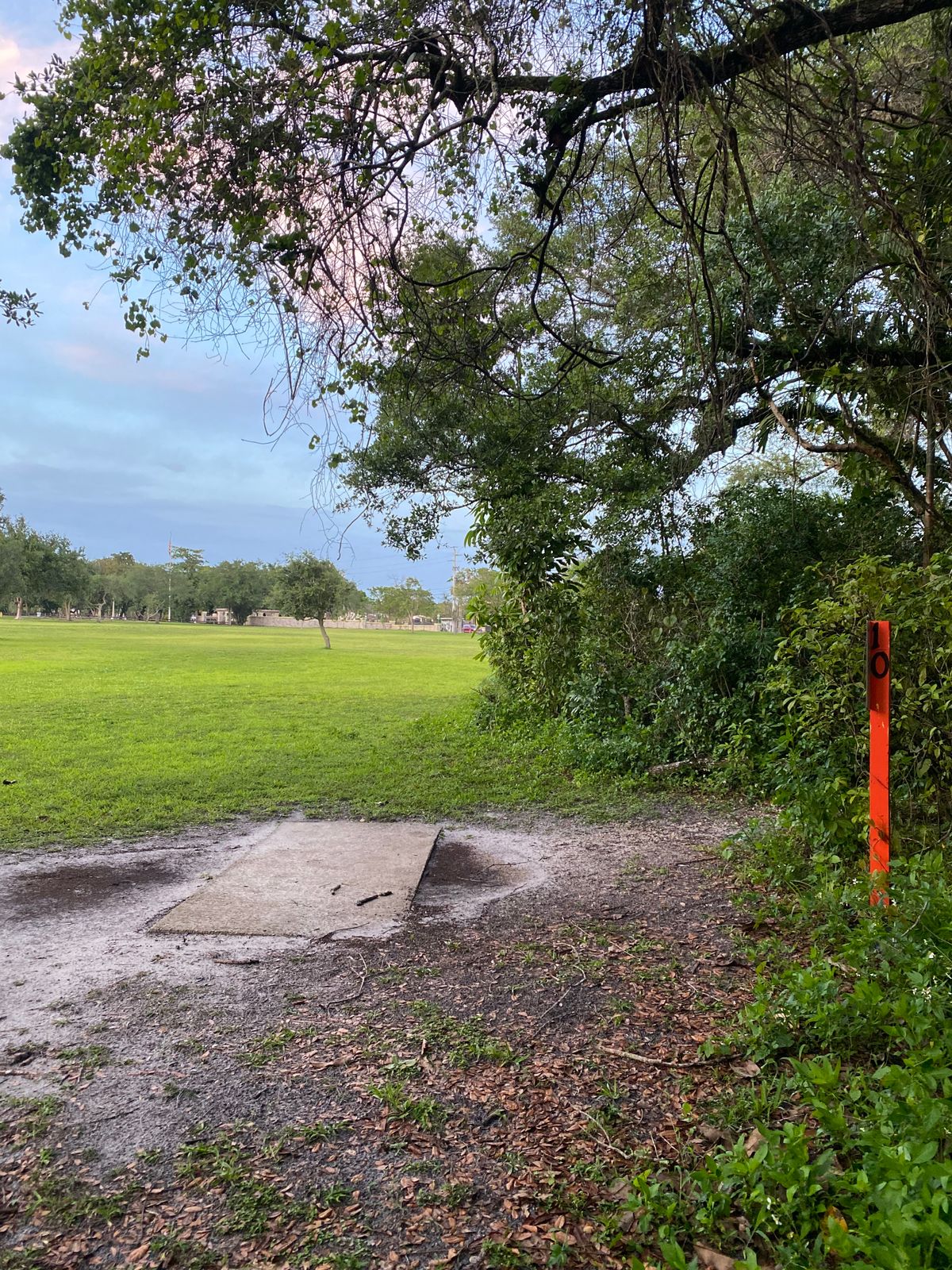 Hole 10 tee pad. Basket on other side of bushes in the clearing on the right
