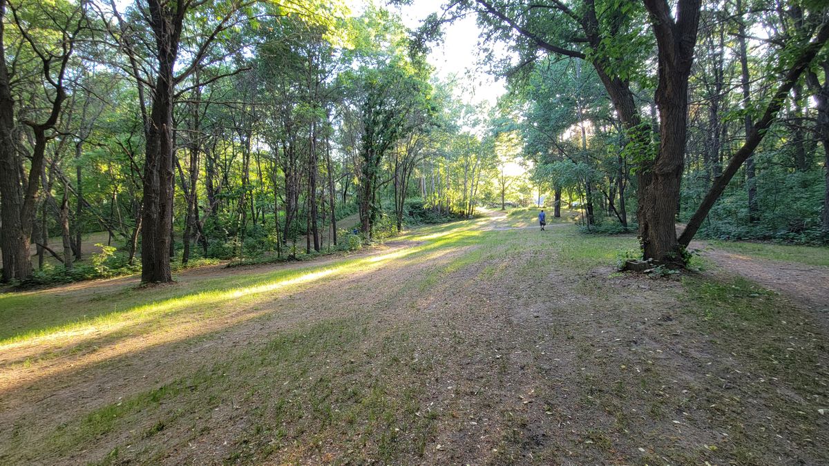 Fairway 5