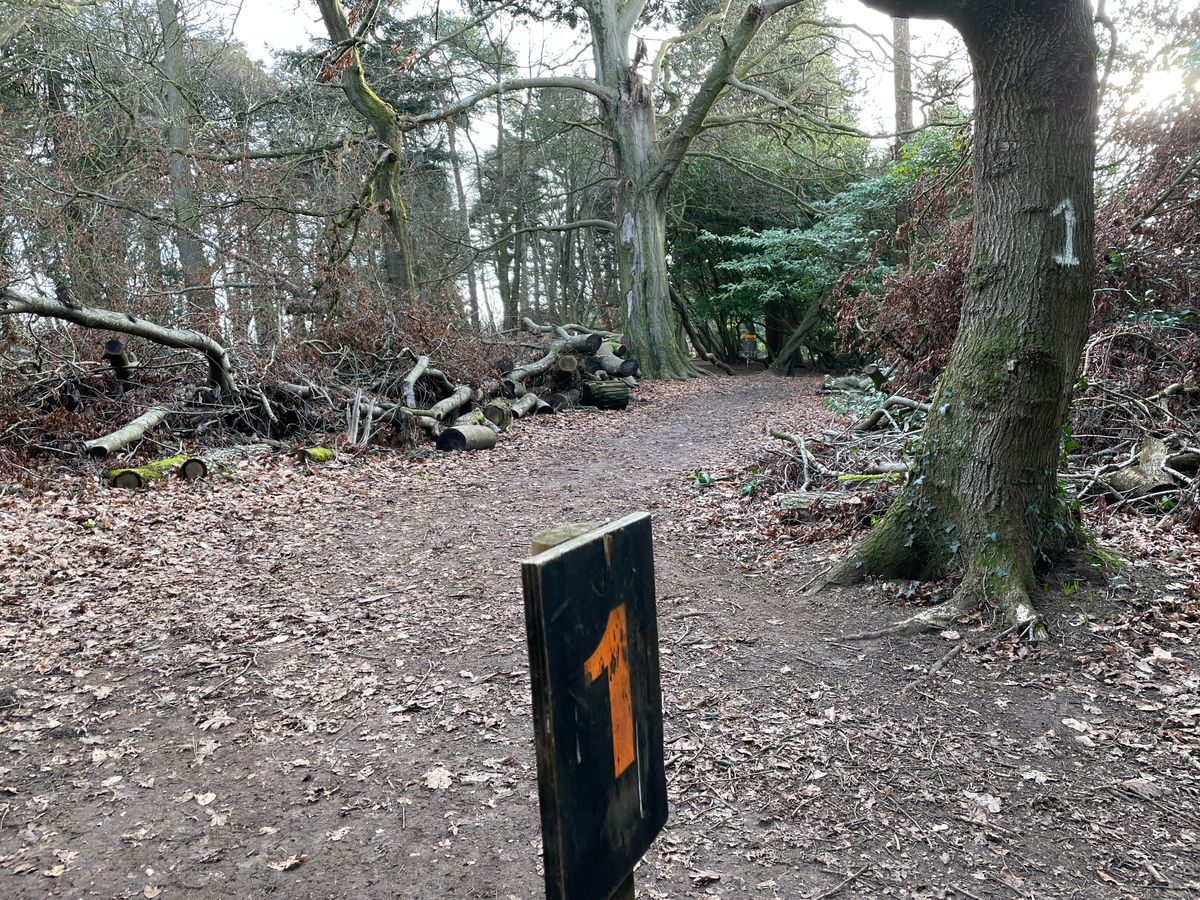 Hole 1