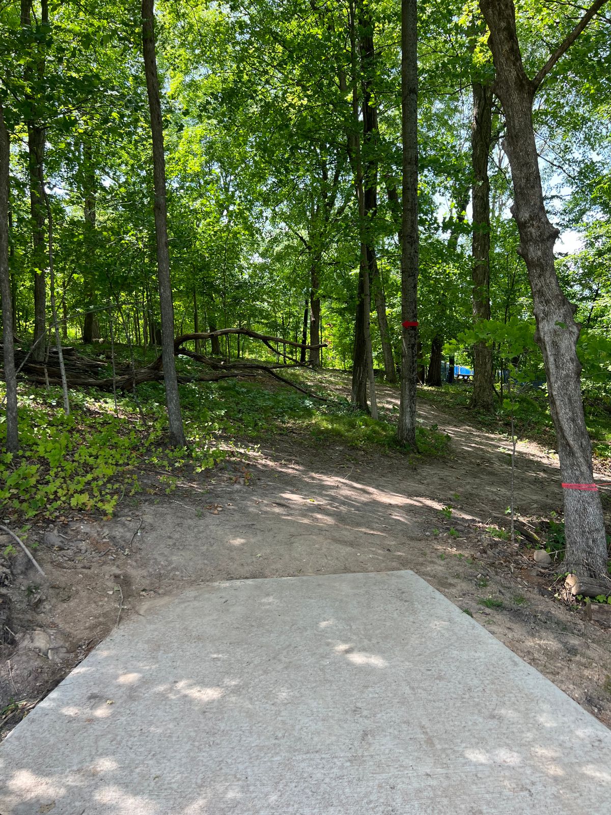 Hole 3 from tee pad