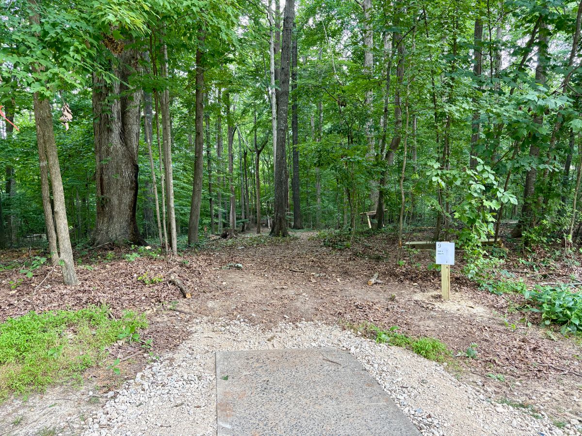 Hole 9 tee