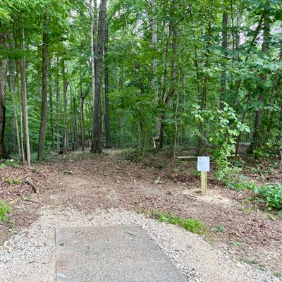 Hole 9 tee
