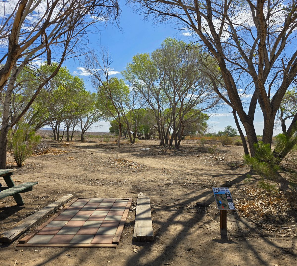 Hole 6