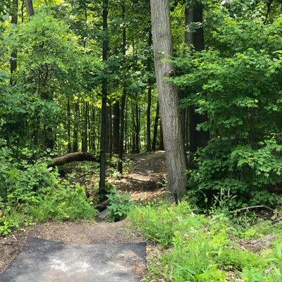 Hole 3
