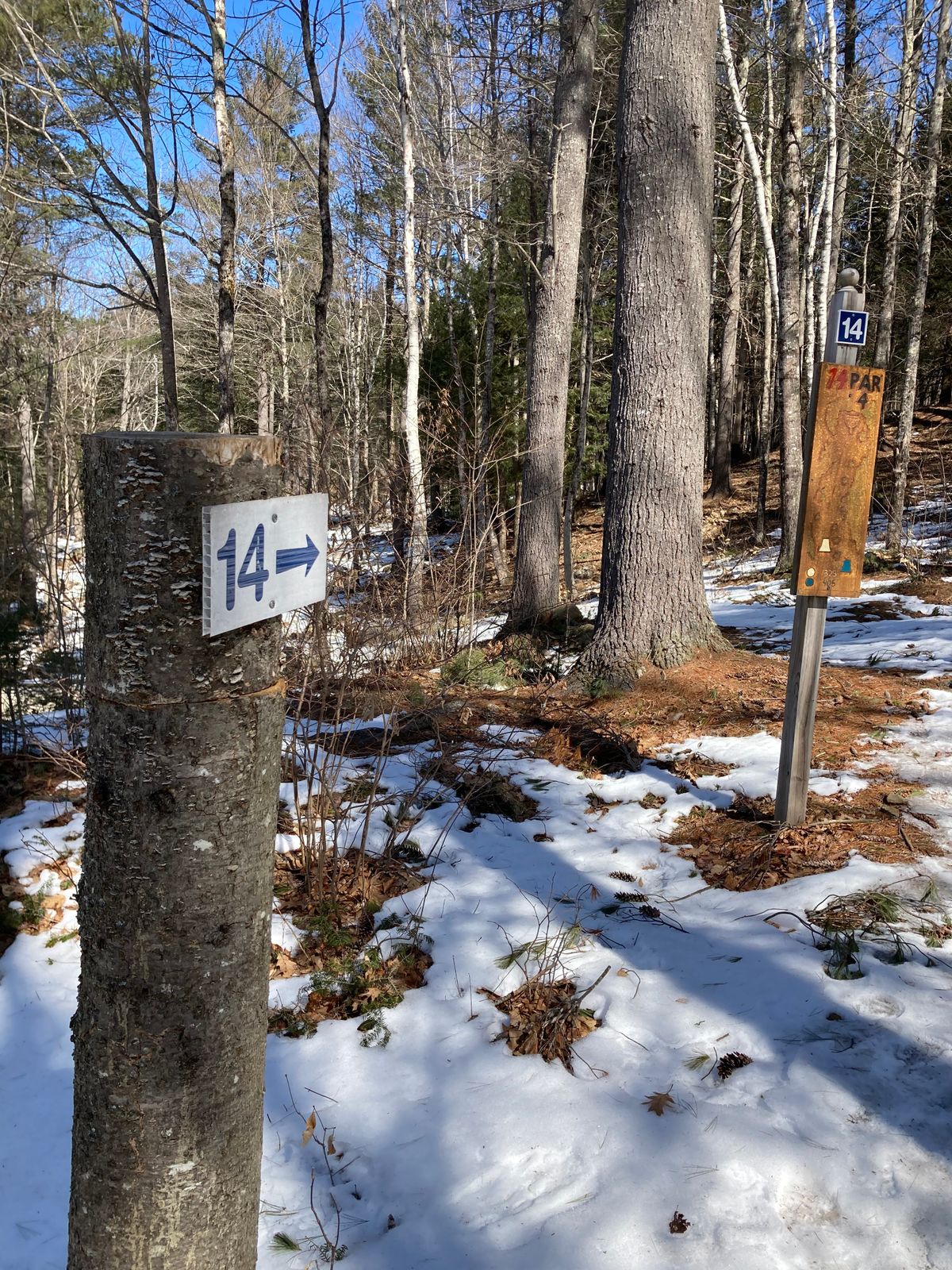 To hole 14