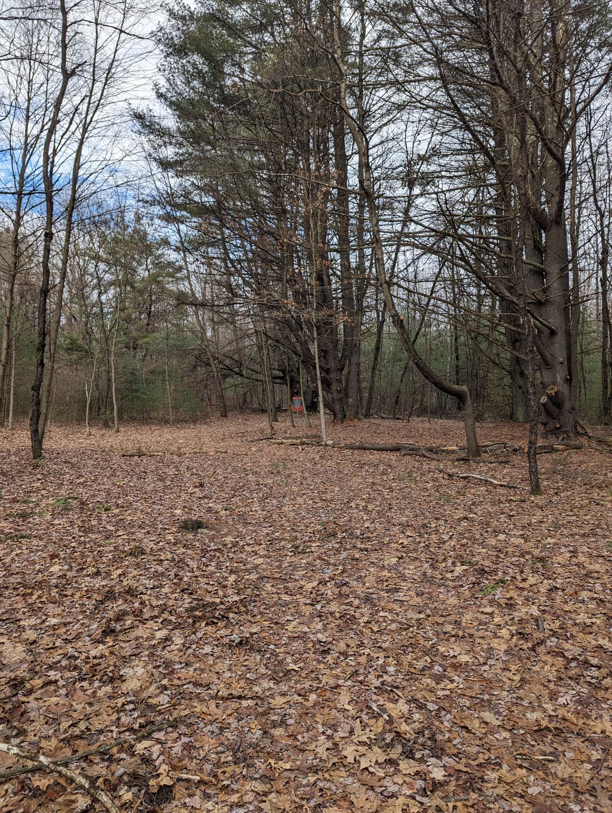 Hole 8 Blue approach 12/20/23