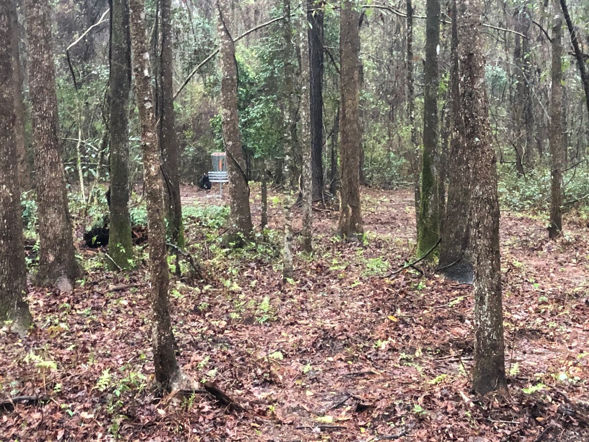 From the fairway on hole 3