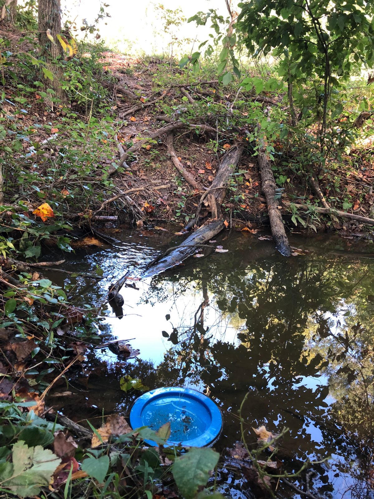 A small creek on 17