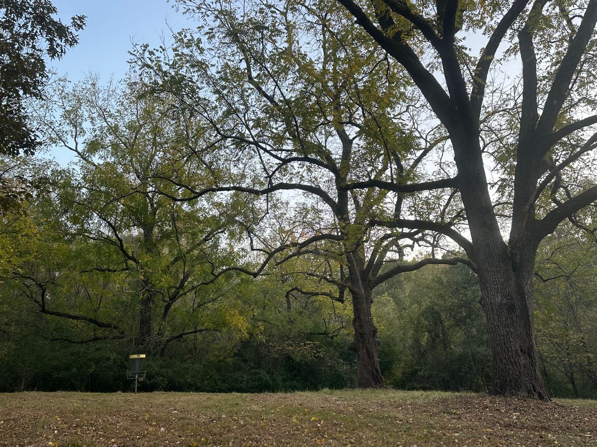 On the Green
Under the elder black walnut trees