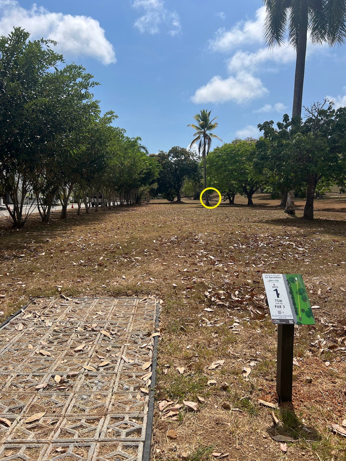 Hole 1