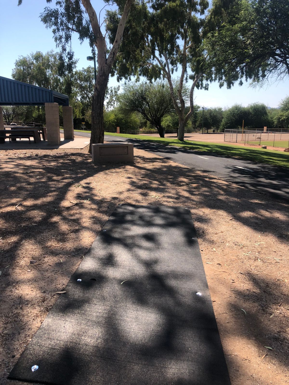 Hole 3: Throwing west to basket on hillside underneath big tree