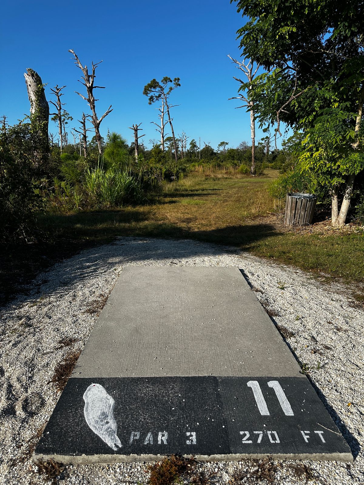 Current tee location 10/2025. 270 ft to basket from front of tee