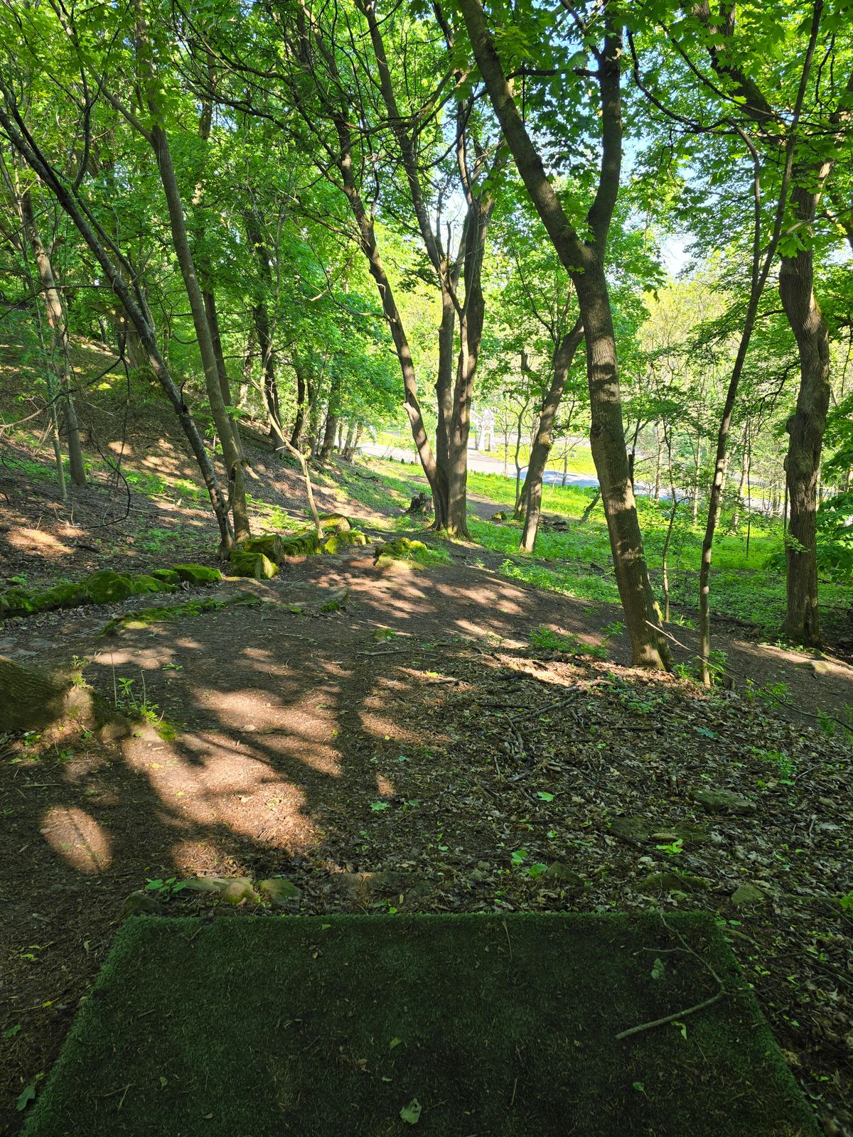 Hole 5