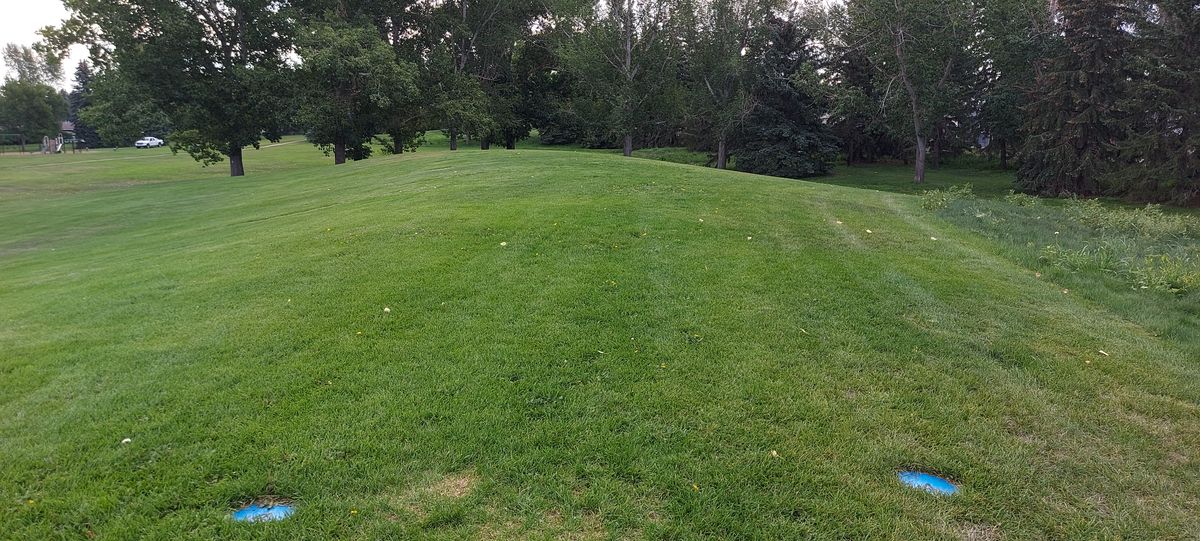 Tee pad