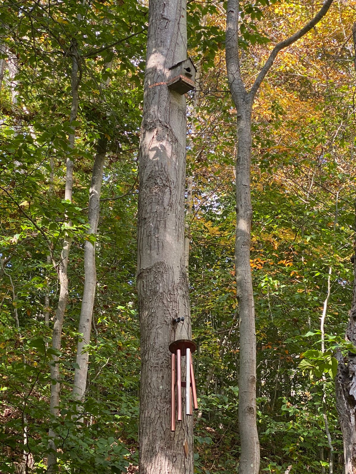 Wind chime hole 3