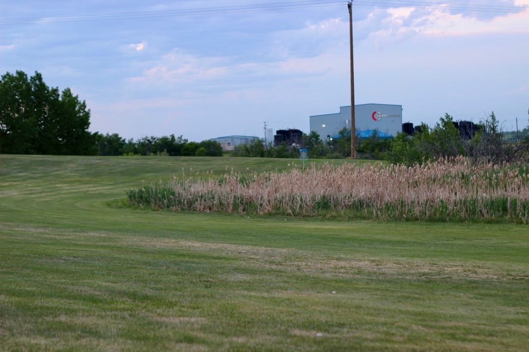 Approach Shot