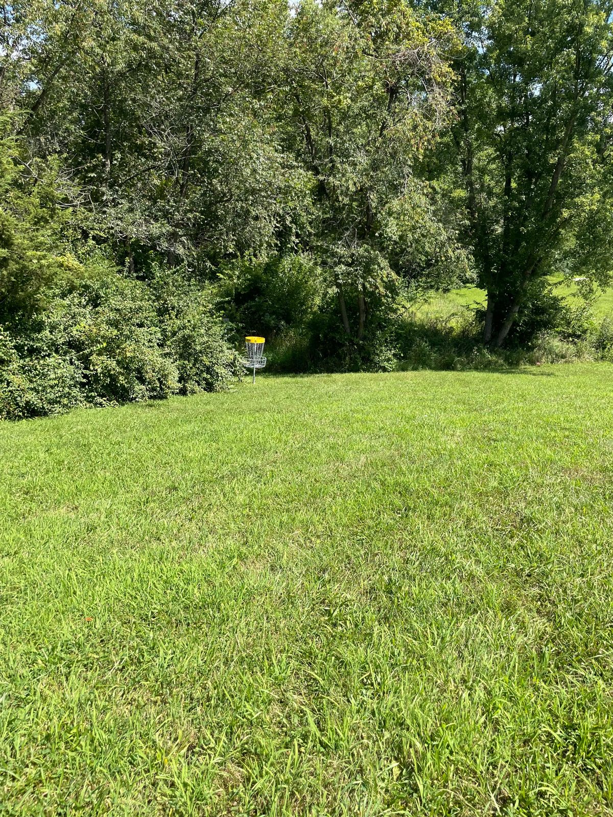 Hole 6 basket
