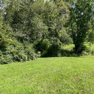 Hole 6 basket