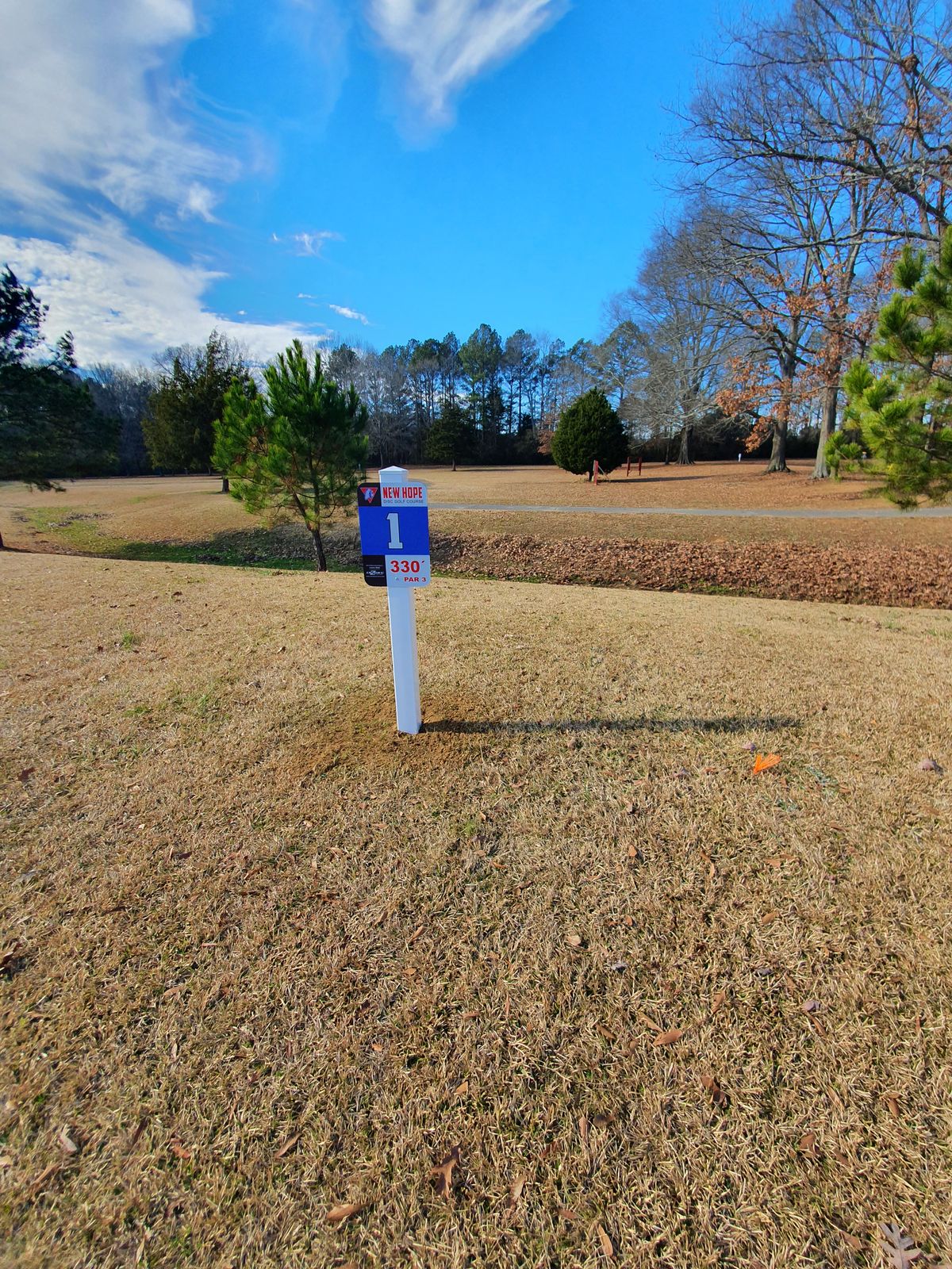 hole 1 tee sign, basket is straight behind the tree with obstacles between.
