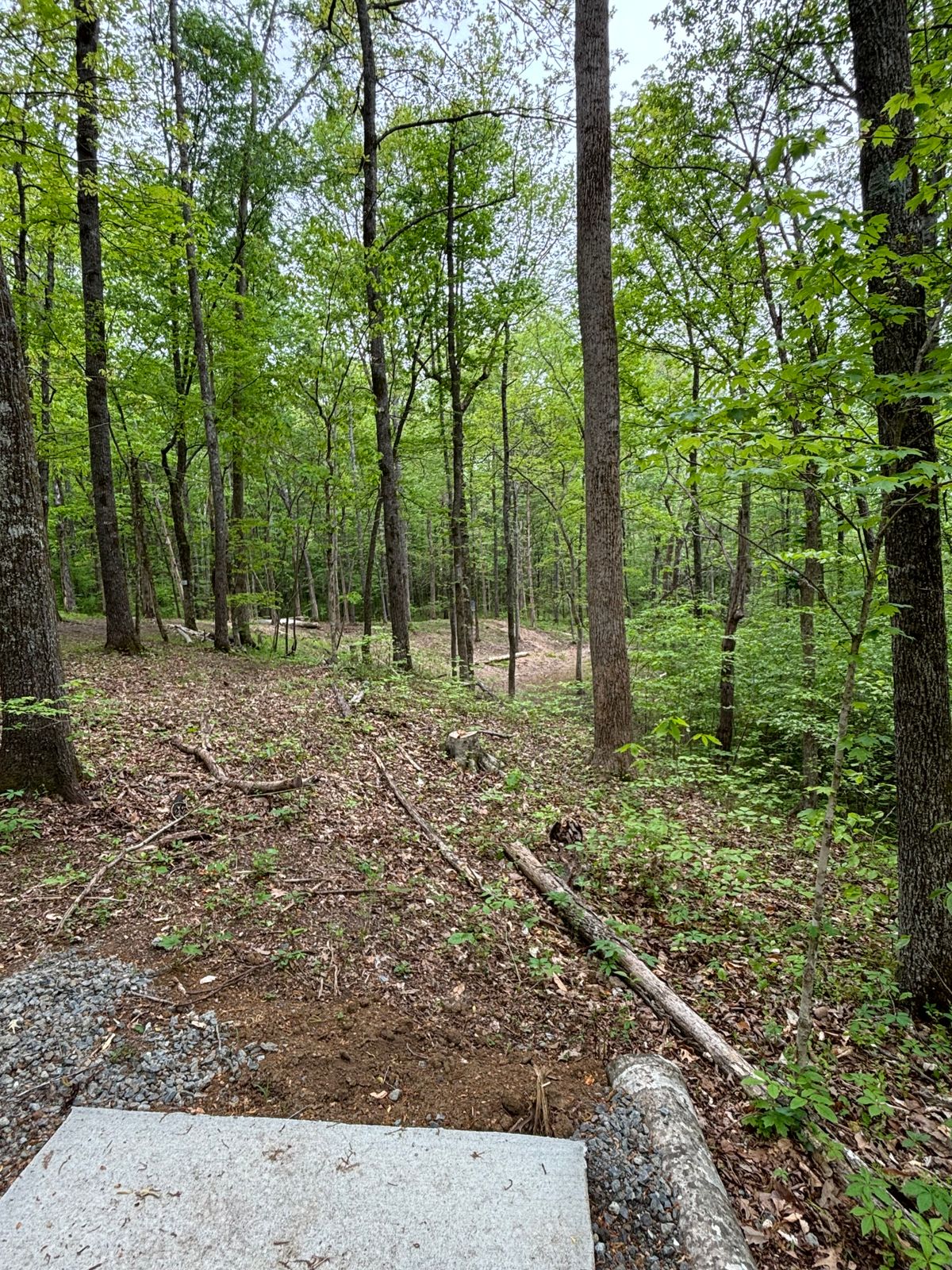 Hole 10