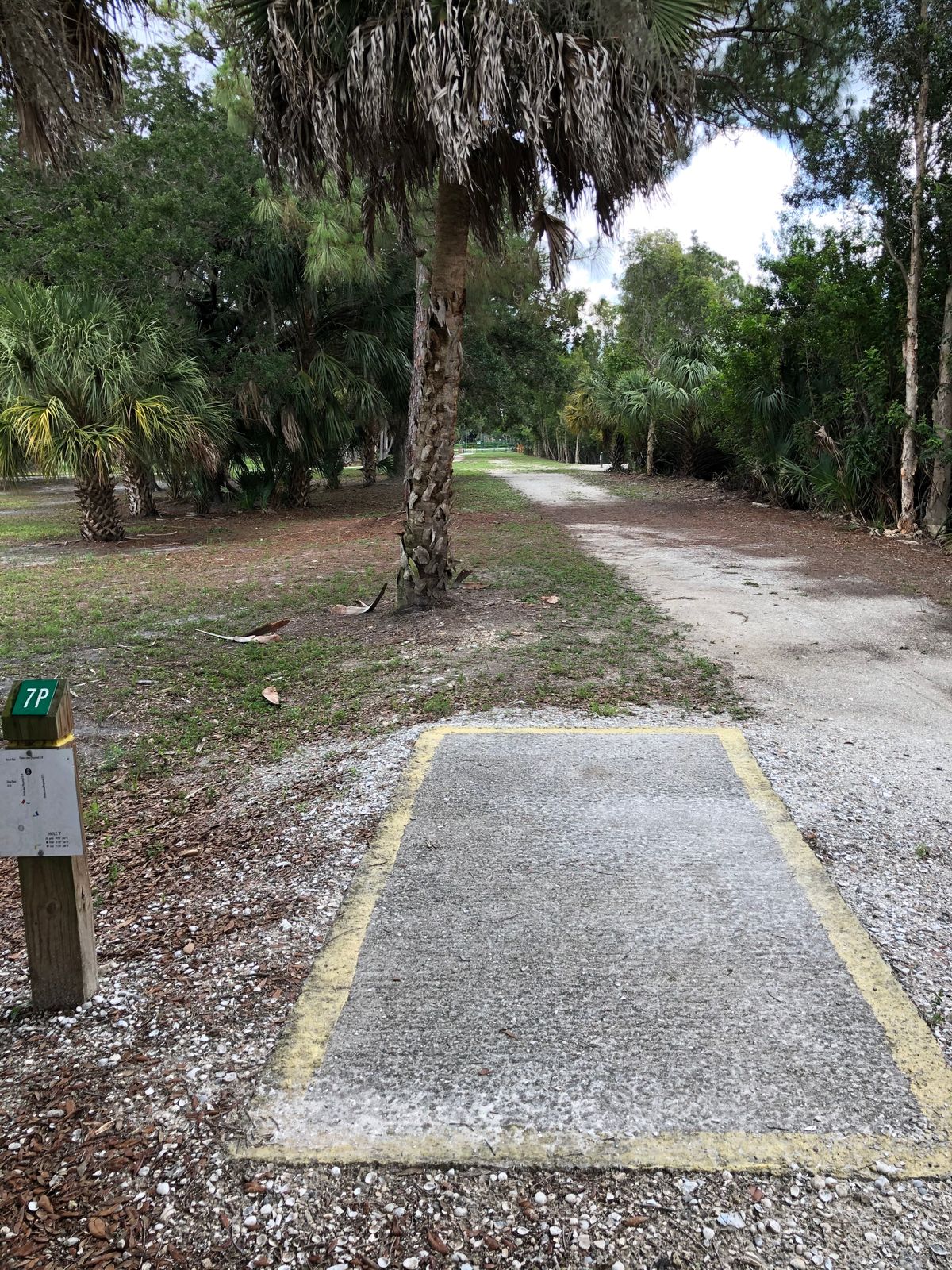 Hole 7 - Gold (Pro)