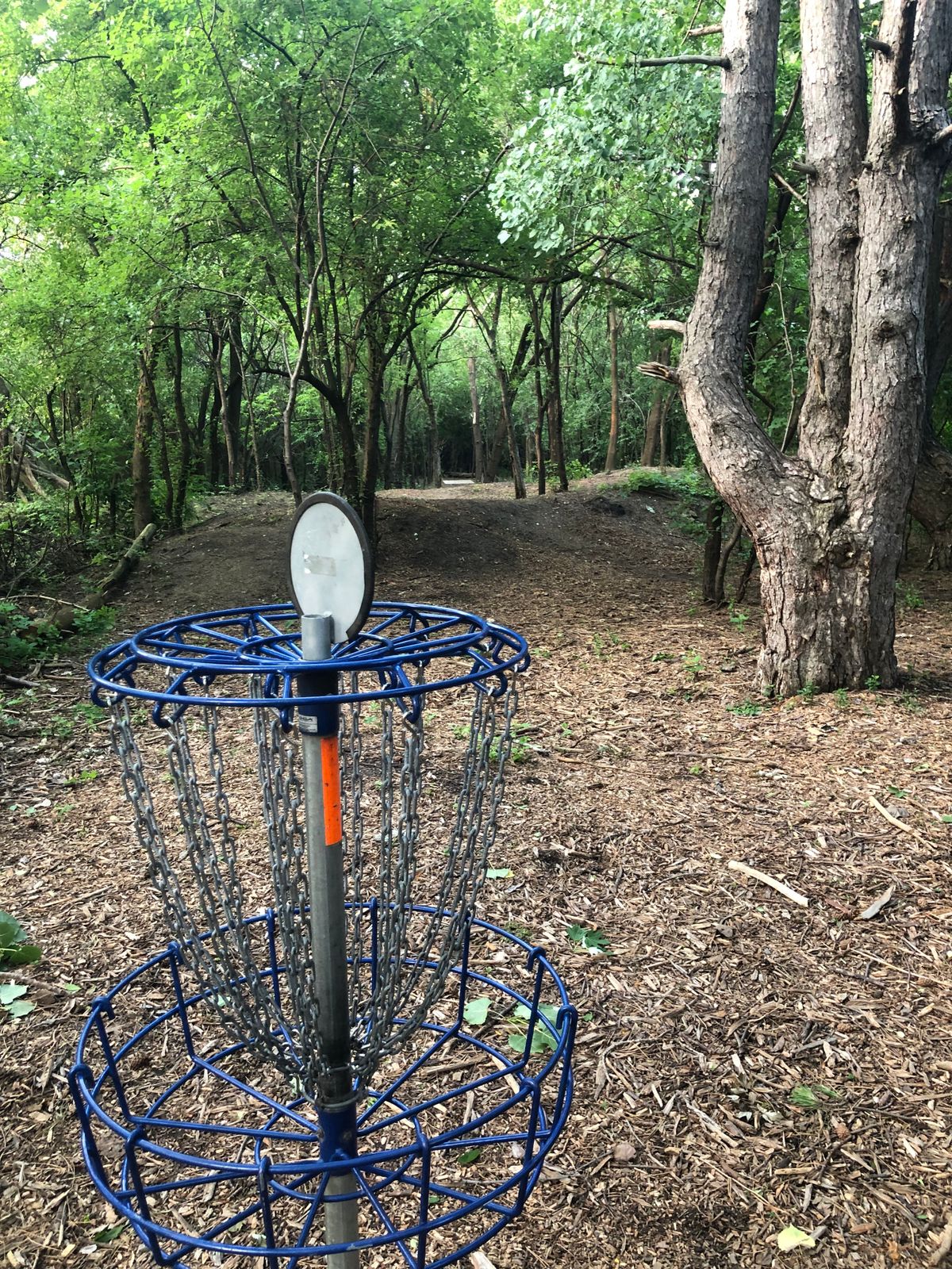 Hole #4 basket