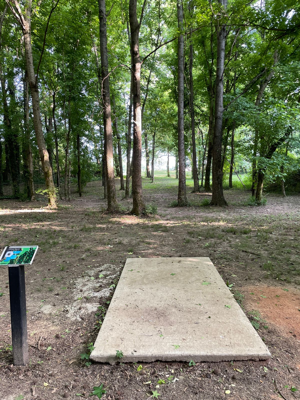 Hole 6