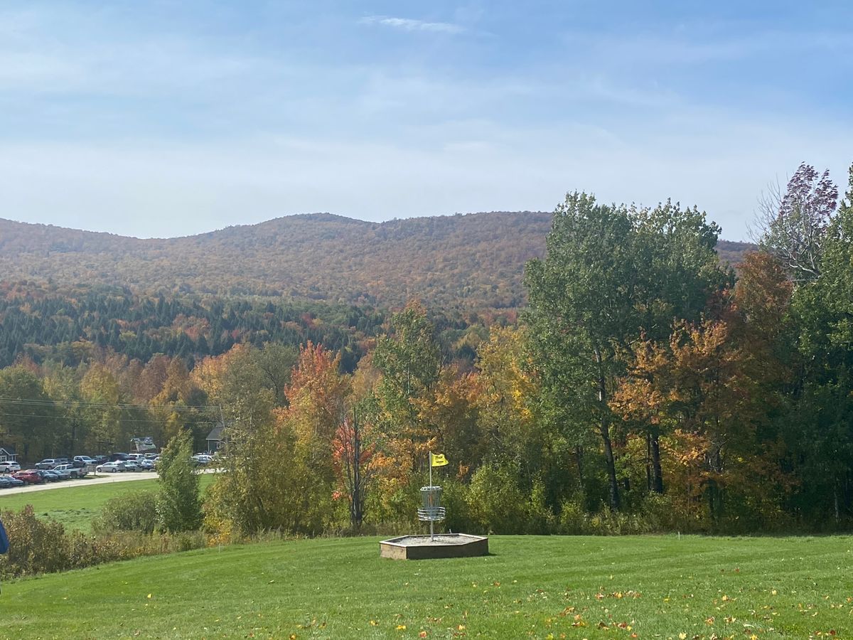 Fox run 17