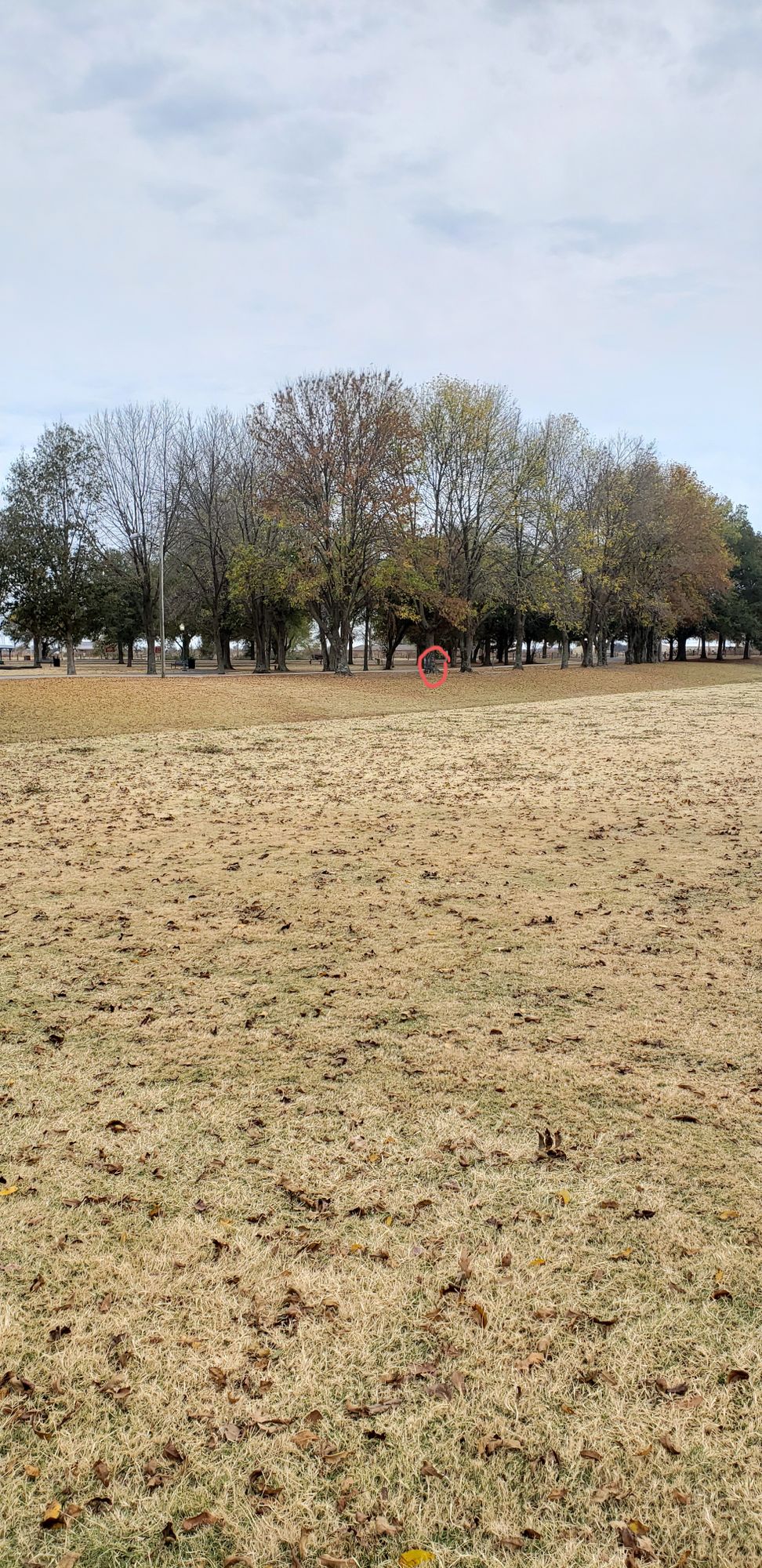 Hole 6
