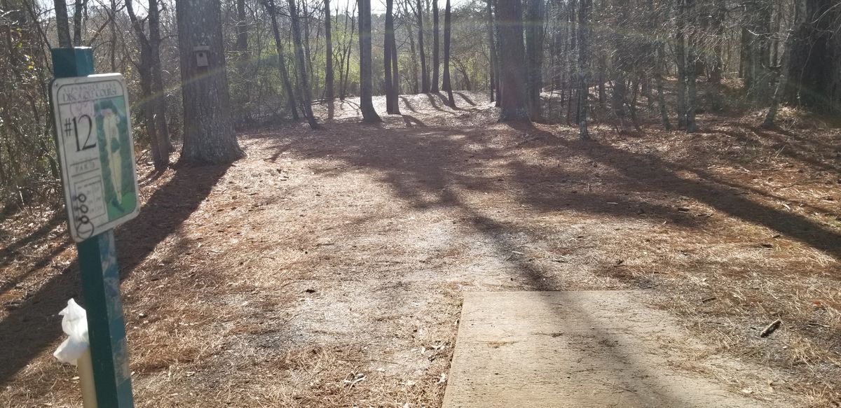 Hole 12 Tee Pads