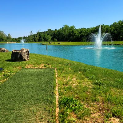 St Louis Disc Golf Your Guide to Disc Golf in St Louis Missouri
