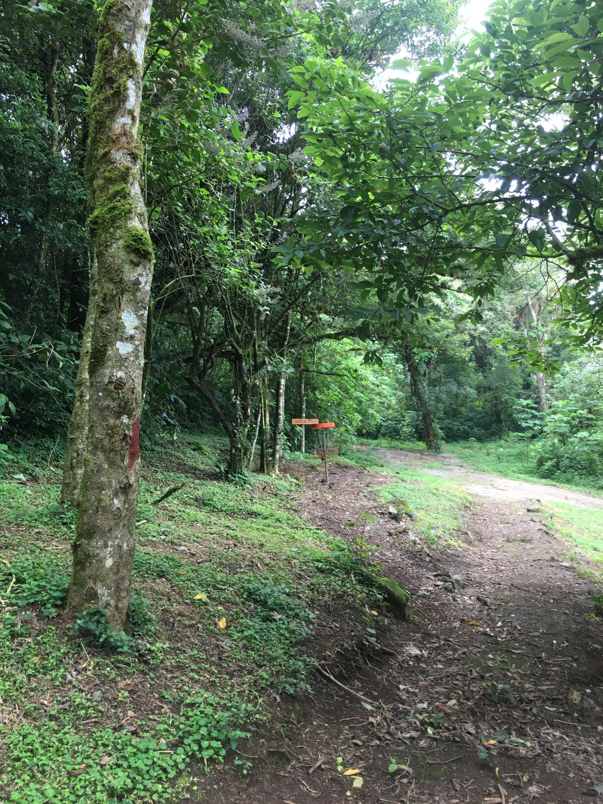Hole 4 Fairway