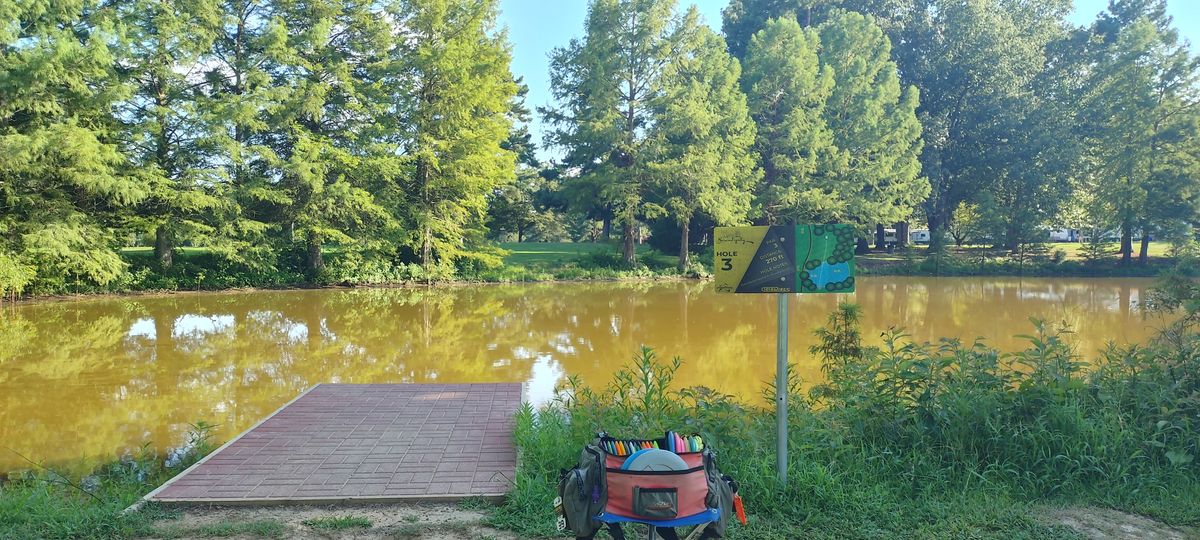 Tee pad and basket #3