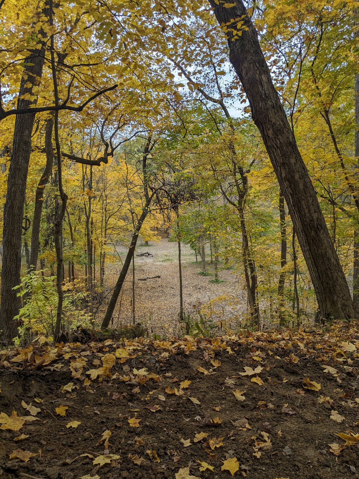 Hole 1