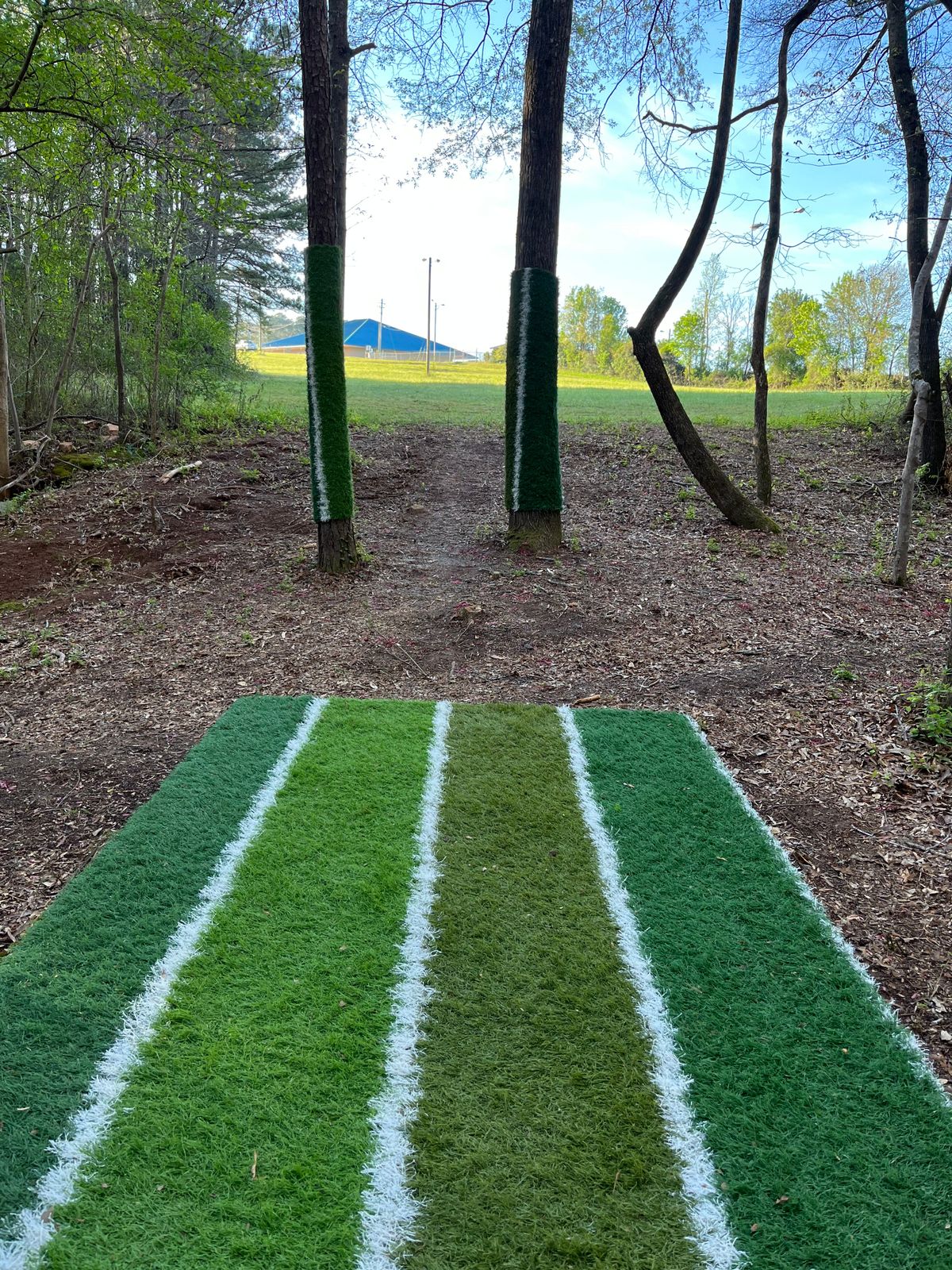 Hole 5 long tee