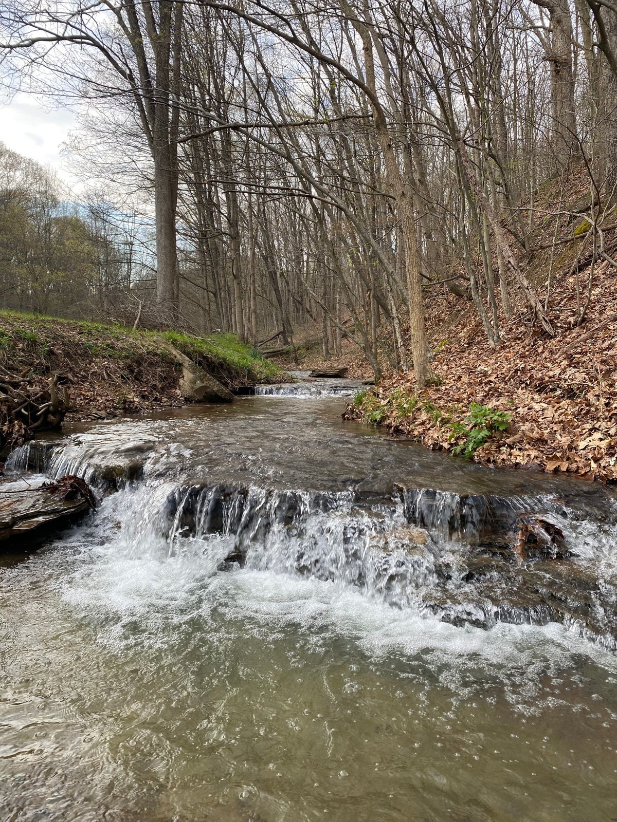 Creek by hole 1
