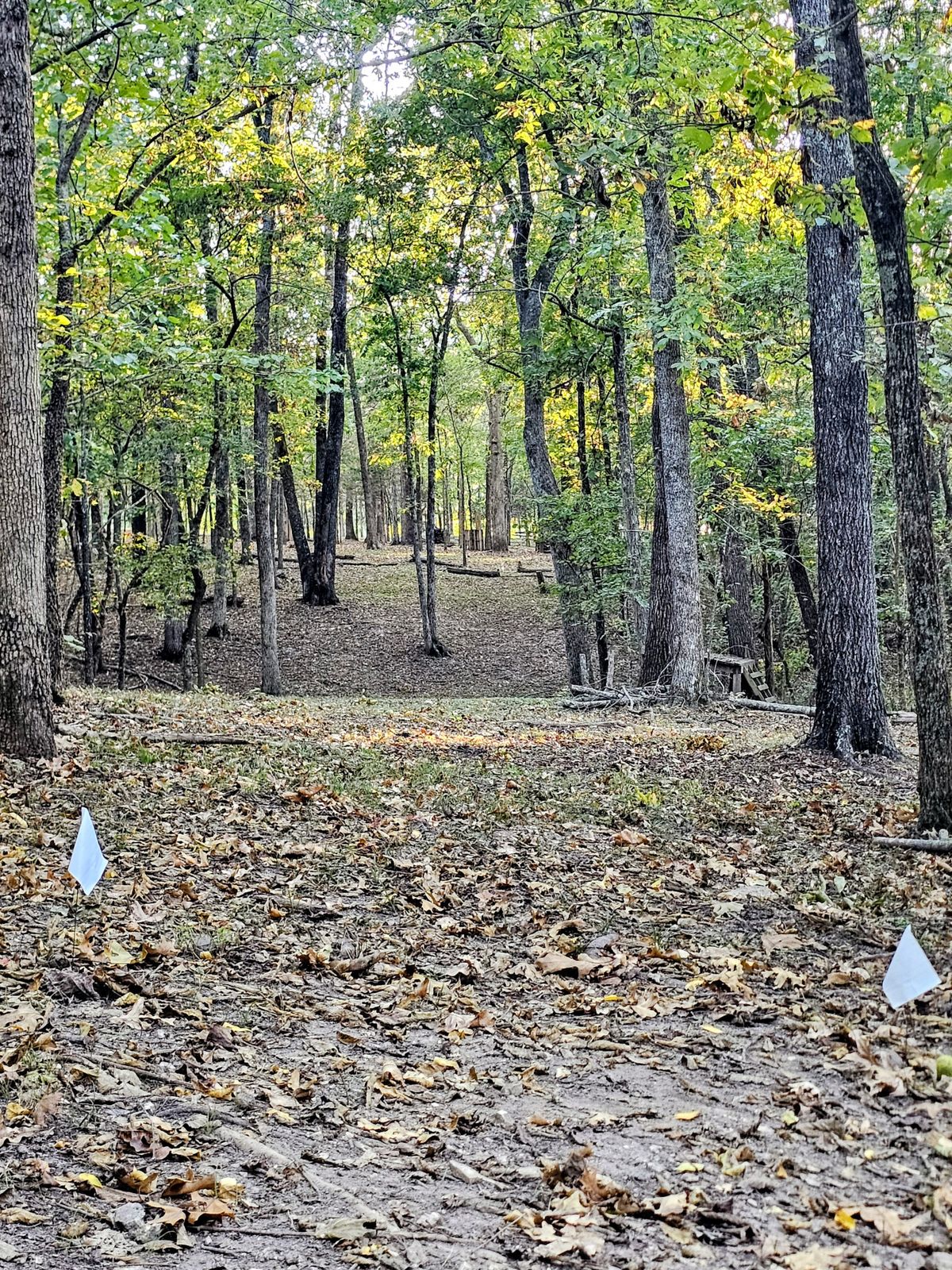Hole 4