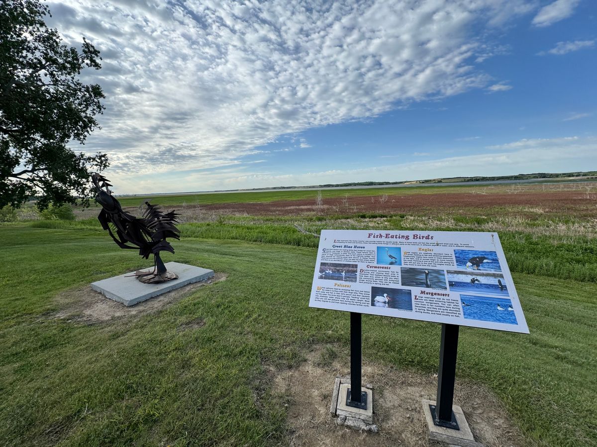 Cool artwork and view of Harlan county lake
