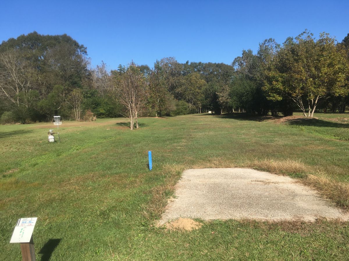 Hole 1 Tee
(18 basket in view on left)