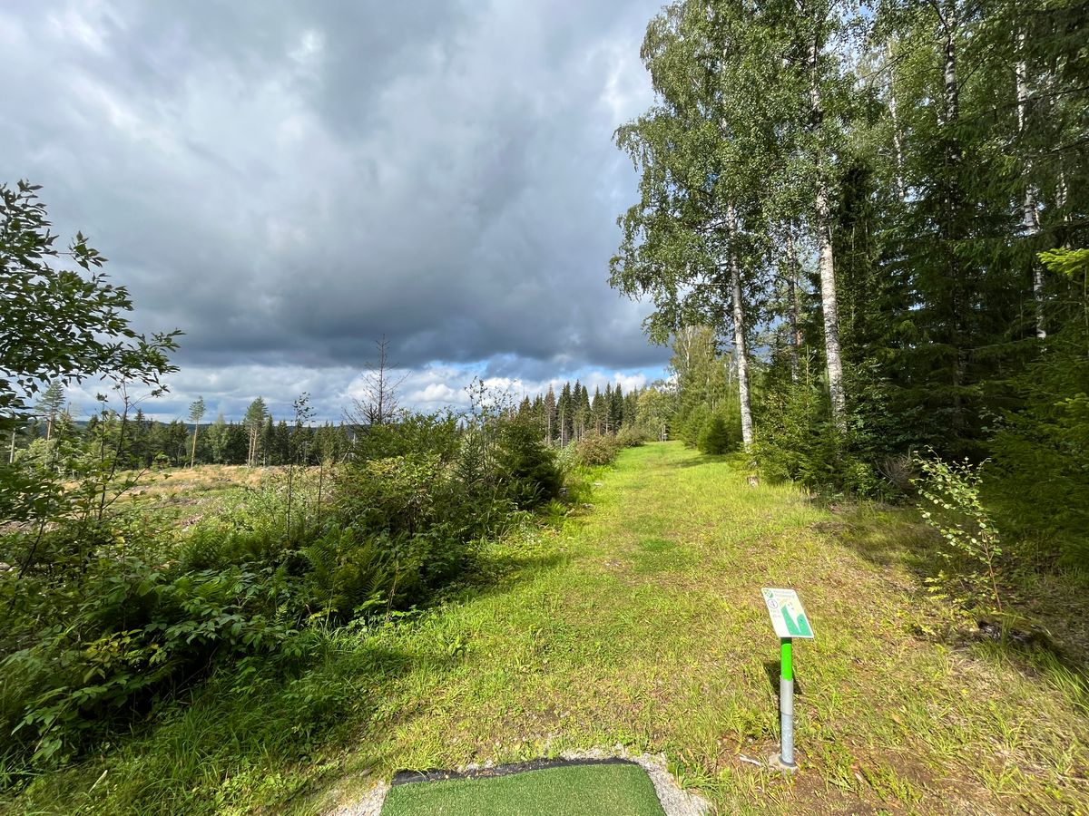 Tämä ihan Ok väylä jos heittää suoraan korille
