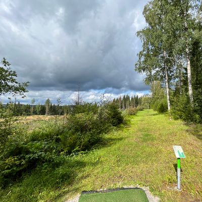 Tämä ihan Ok väylä jos heittää suoraan korille