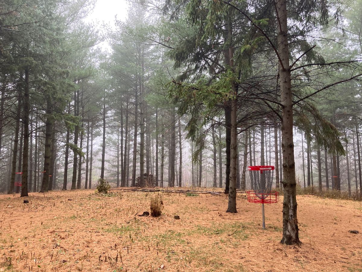 Most picturesque course I’ve played thanks to the several woods holes
