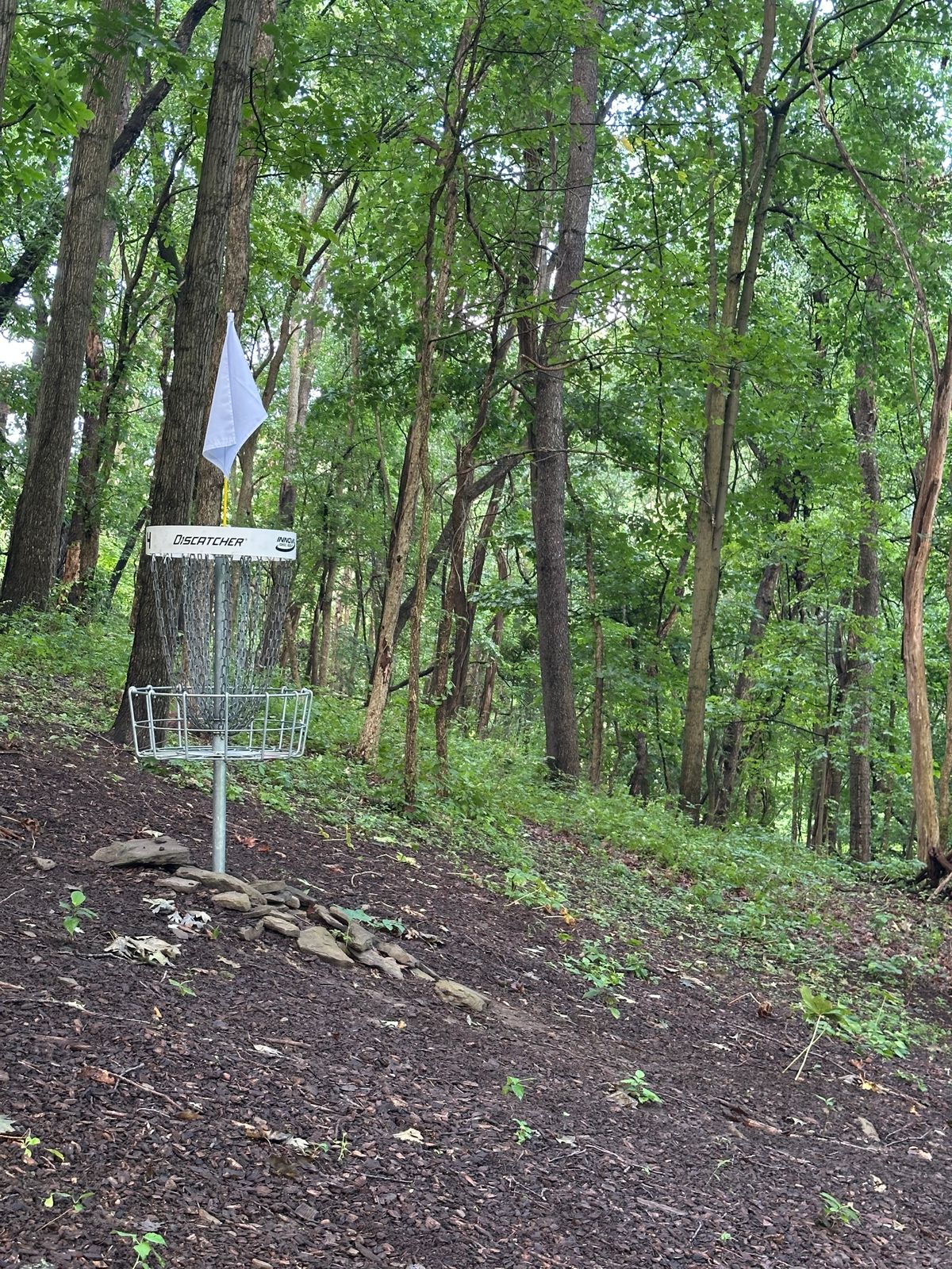 Downhill approach to #4 (~100’ below tee)