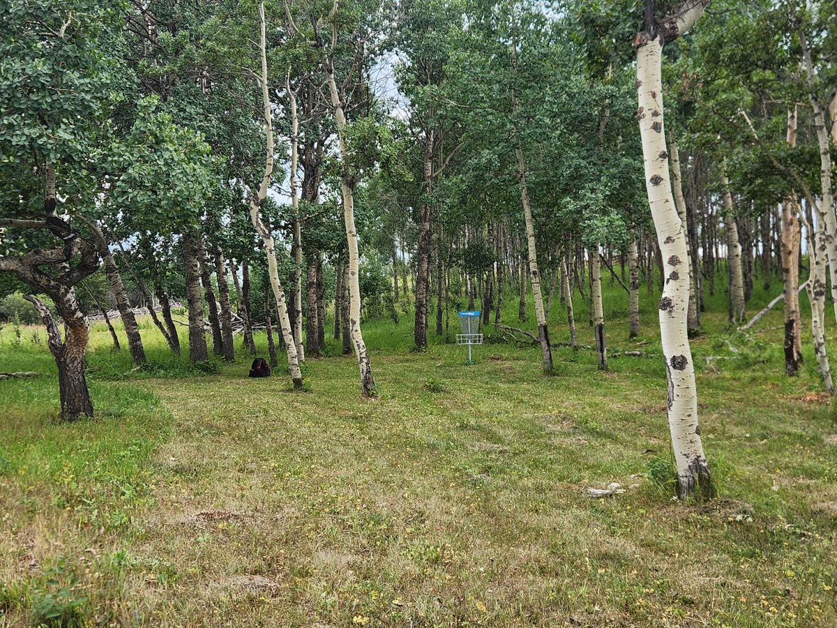Hole 14
