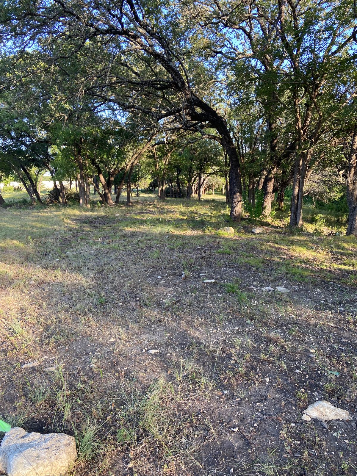 Hole 1 tee