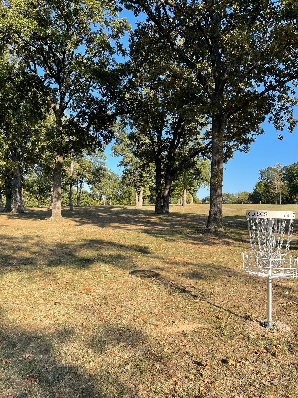Hole 16’s basket