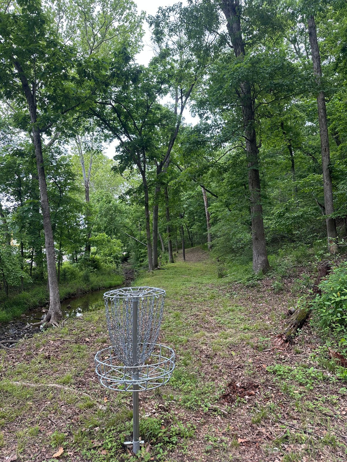 Three putting green