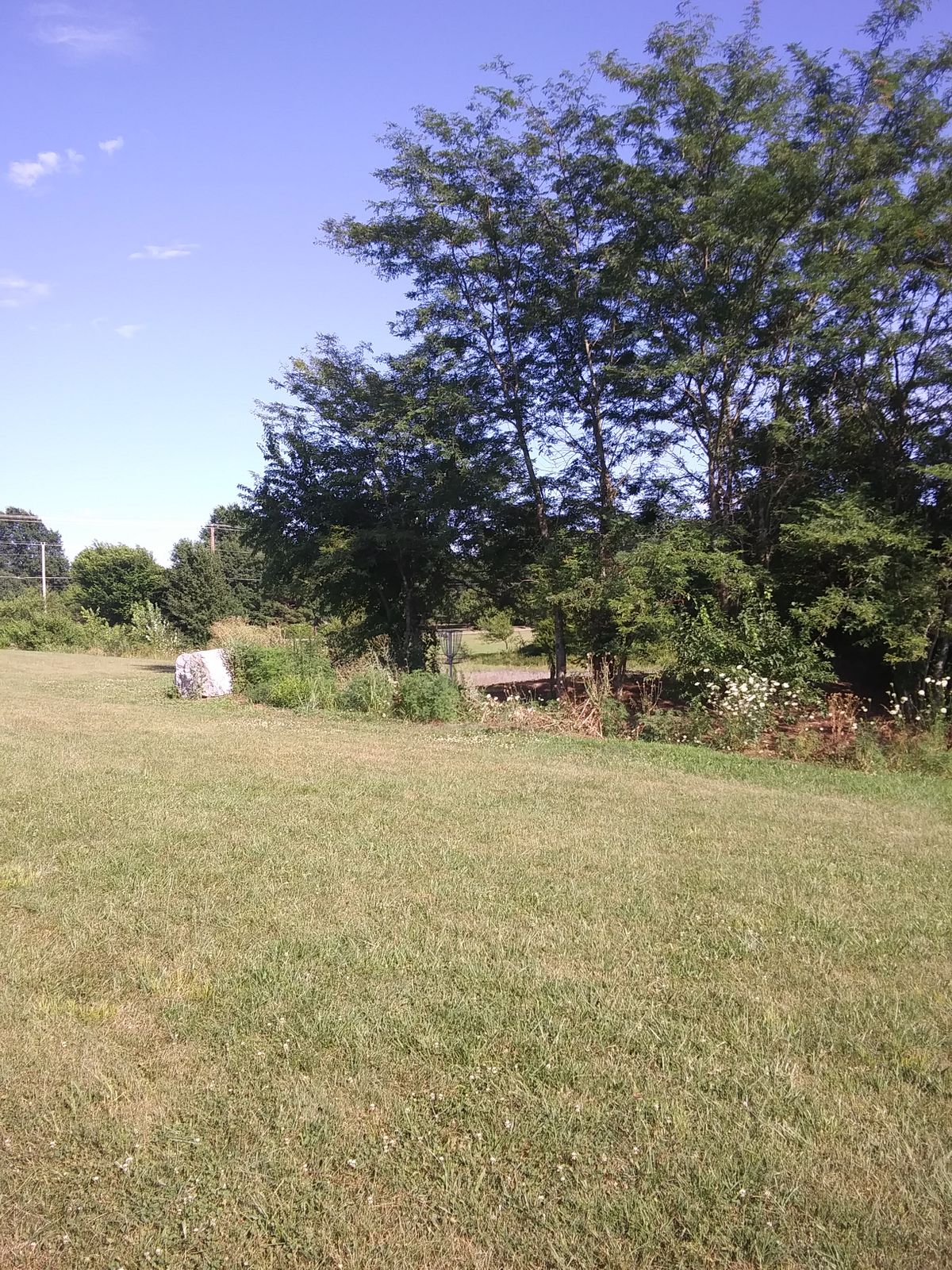Hole 12