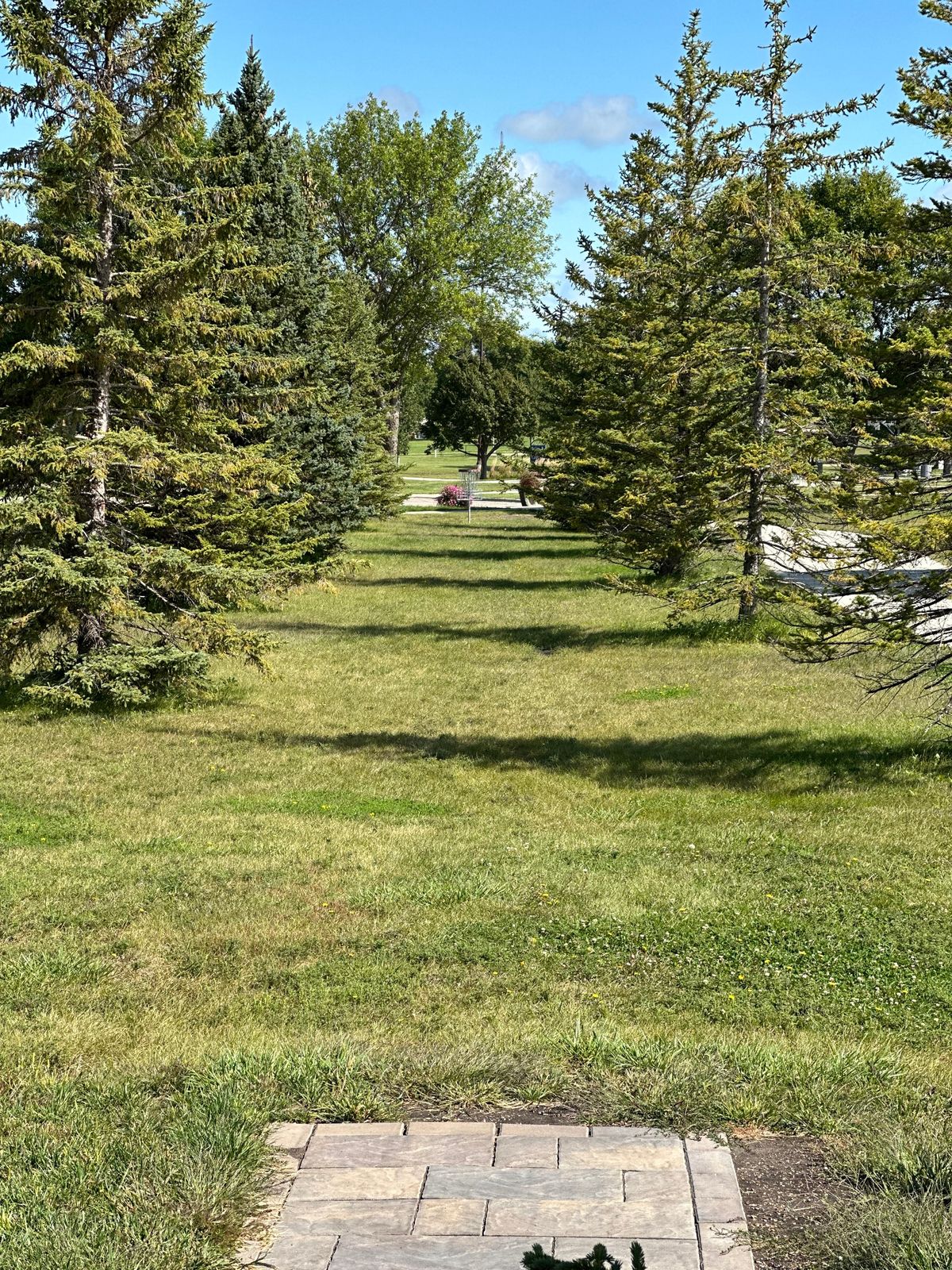Tee pad 11