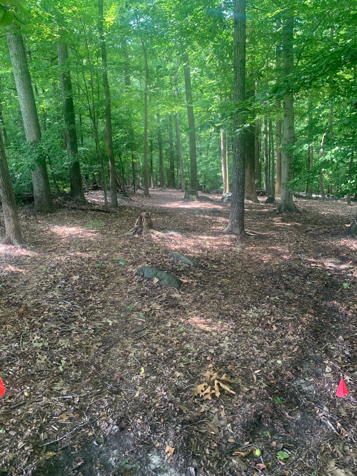 Hole 3 Red Tee.